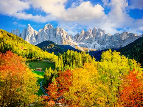 Titelbild für Goldener Herbst in Südtirol