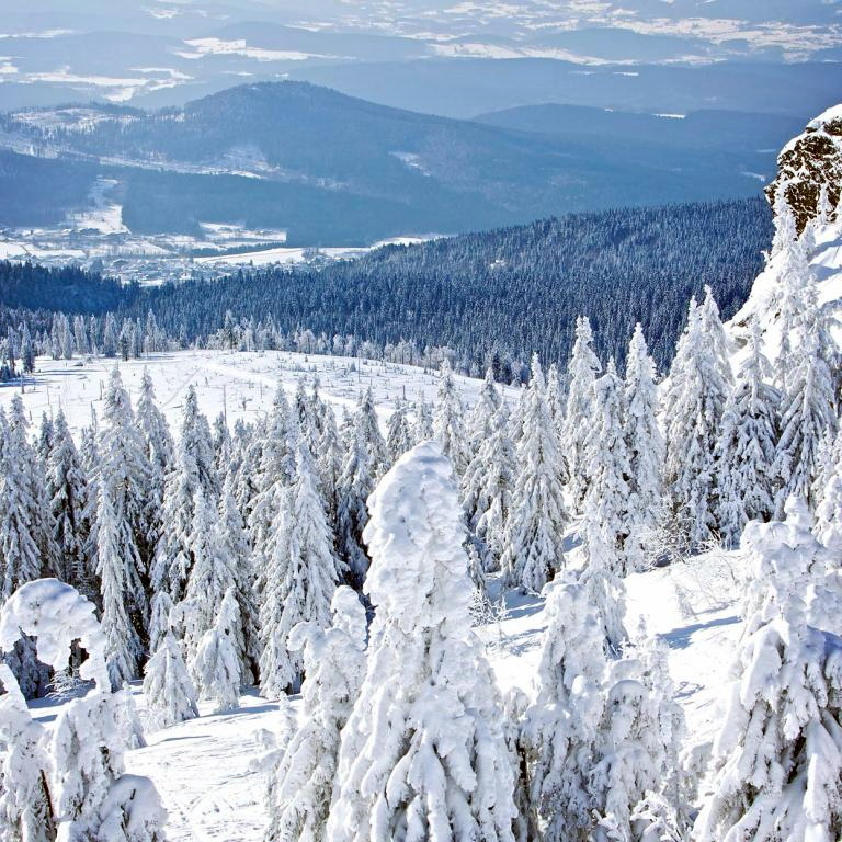 Titelbild für Winterspezial im Bayerischen Wald
